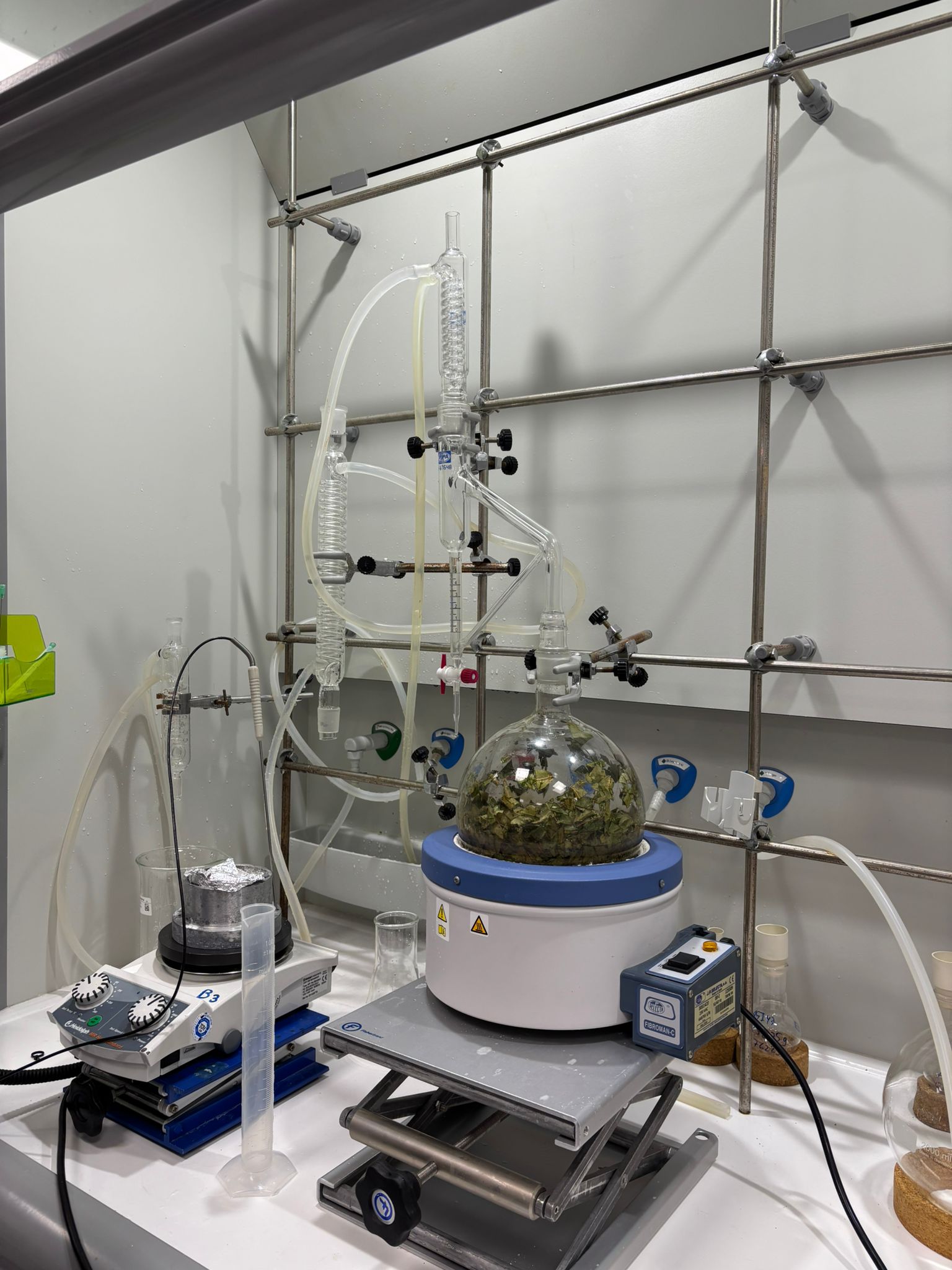 Montaje de hidrodestilación con aparato Clevenger en laboratorio
